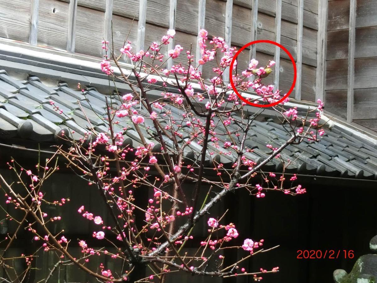 Hoshidekan Ise Exteriör bild